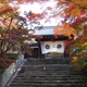 Illustration for article titled Bad Tourists Lead to Photography Ban at Japanese Temples